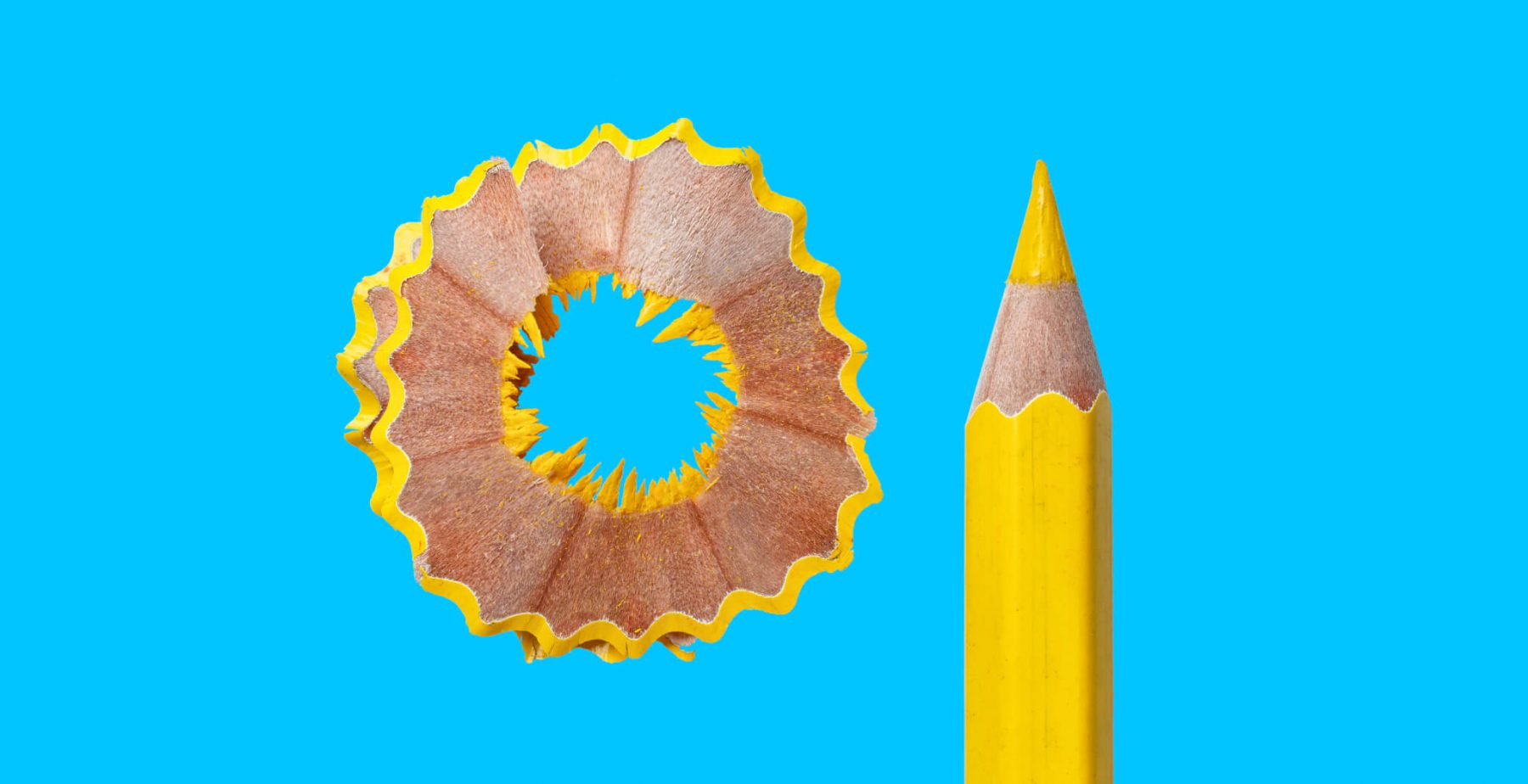 YellowPencil_ZenithImages_1800pxlWide-1