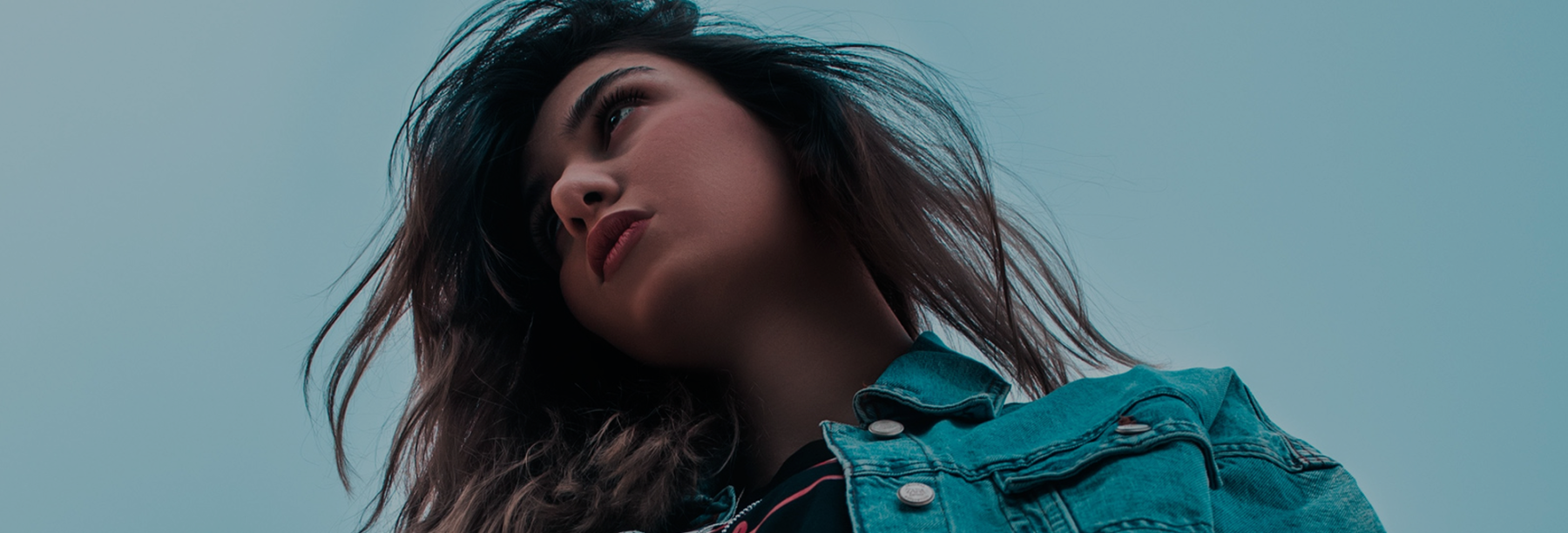 Zenith website – insights header 2