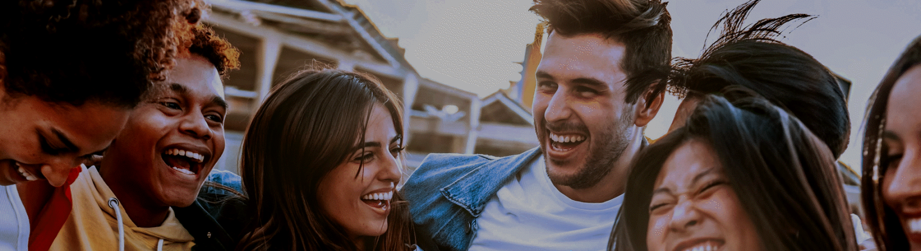 zenith website – what we do header